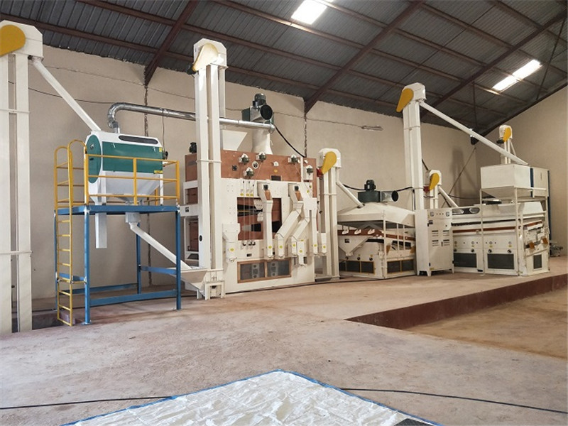 Pabrik Pembersihan Biji Chia ing Kenya (2)