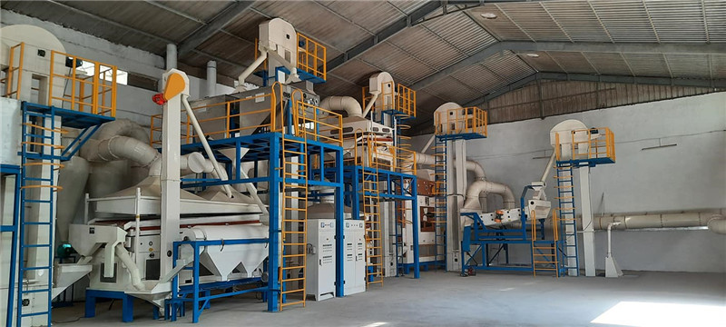 seed bean cleaning plant in Italy (4)